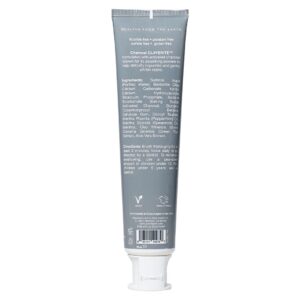CLAYBRITE™ Toothpaste Activated Charcoal