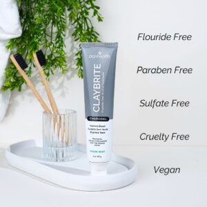 CLAYBRITE™ Toothpaste Activated Charcoal