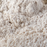 Bentonite CLAY