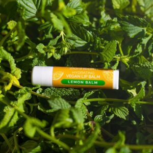 Hydrating Lip Balm Lemon Balm